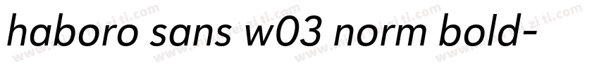 haboro sans w03 norm bold字体转换